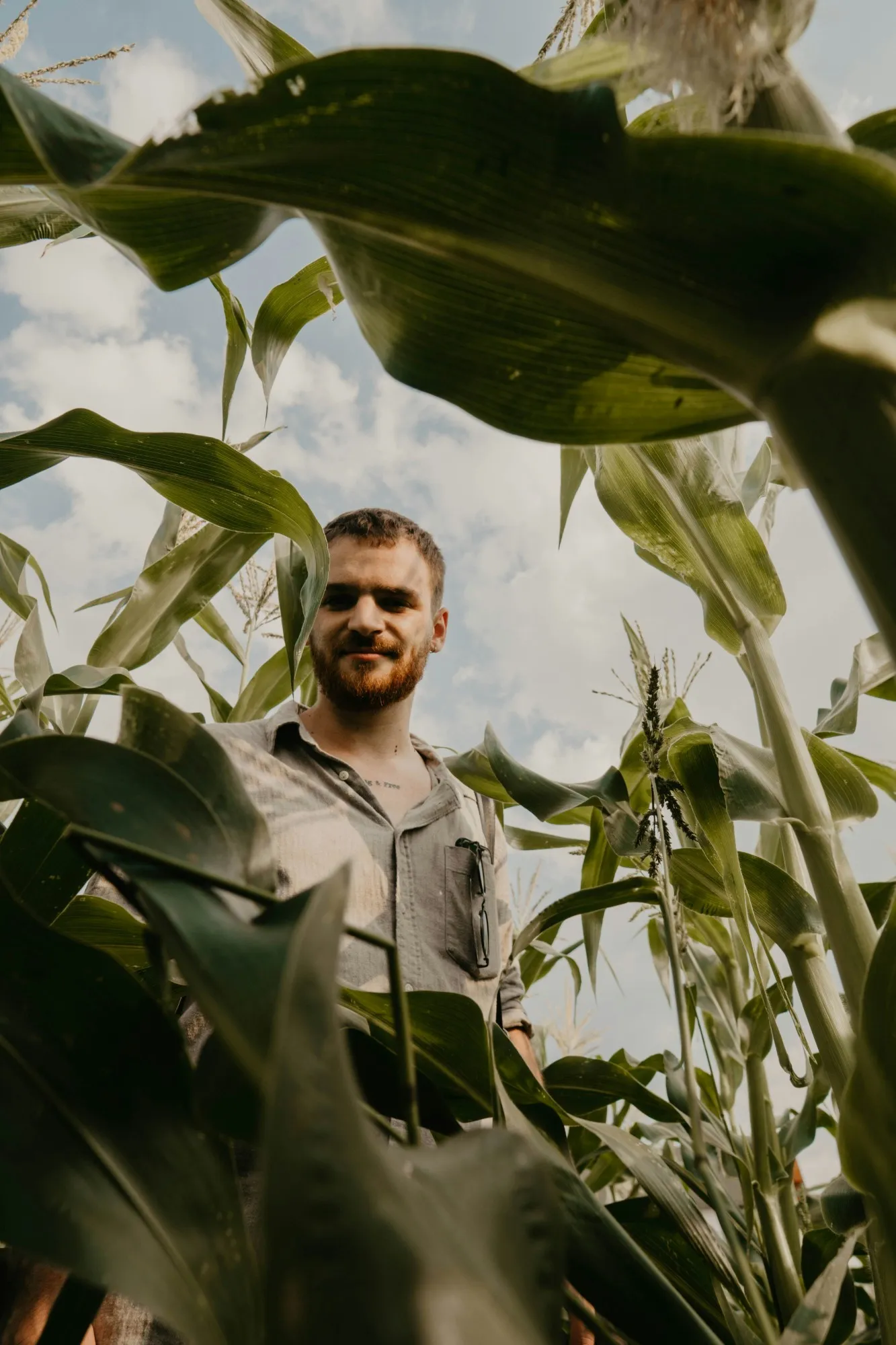 Un agriculteur sourit au milieu d'un champ de maïs